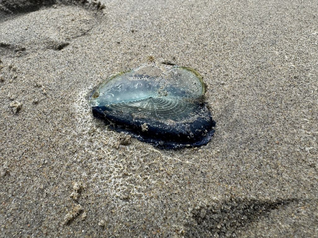 Playa La Misión