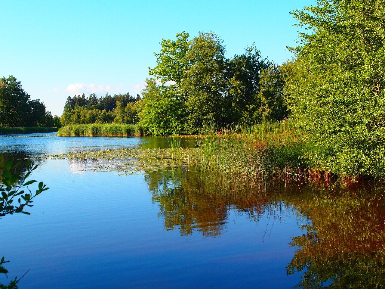 Stockenweiler Weiher