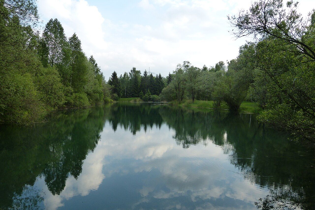 Lechaue westlich Todtenweis