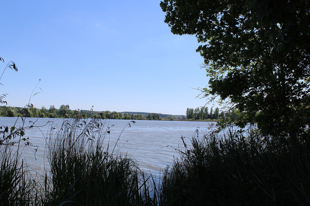 Vogelfreistätte Oberegger Stausee