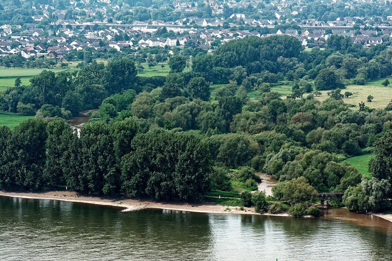 Mündungsgebiet der Ahr