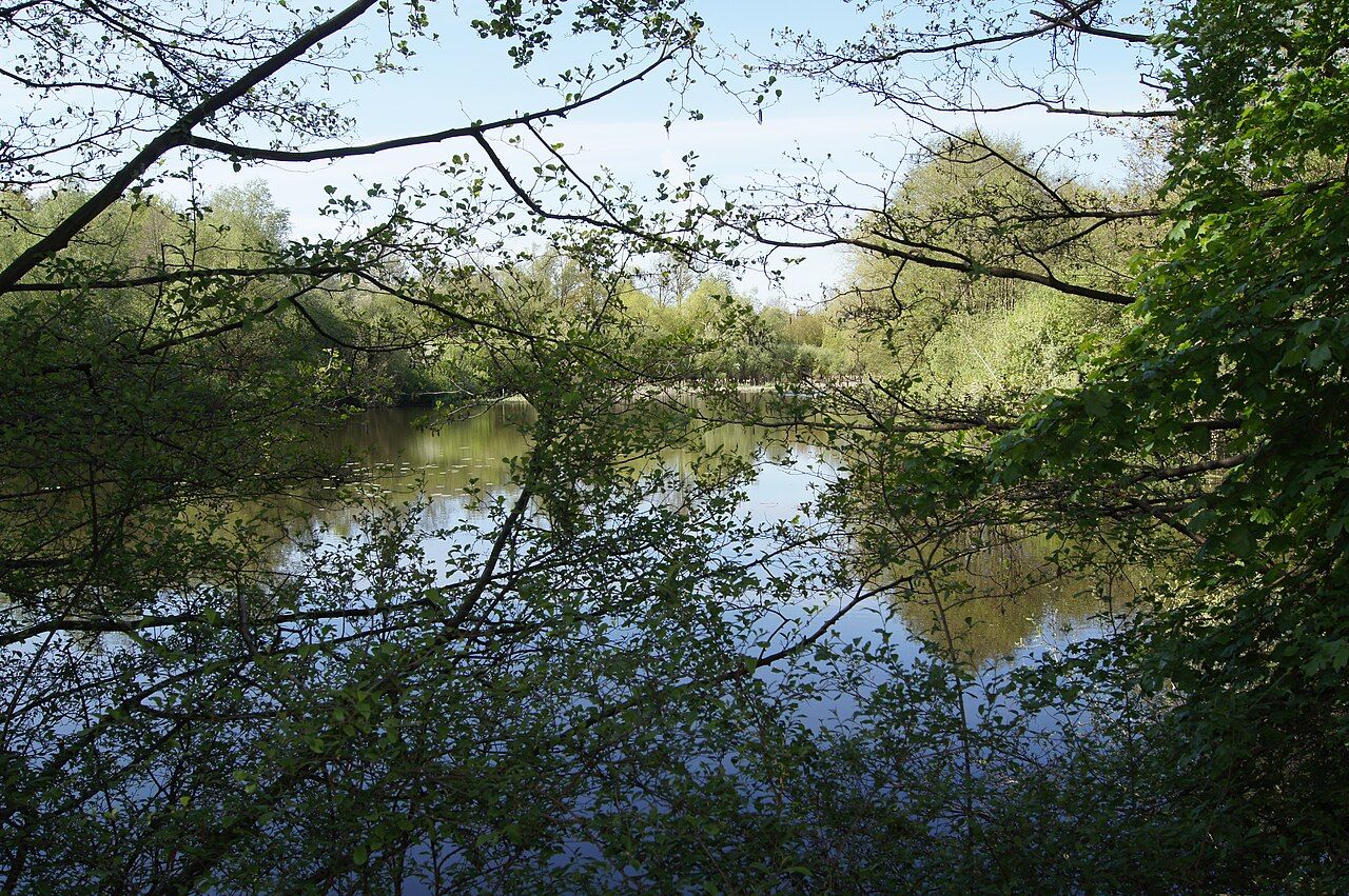 Töpker Teich