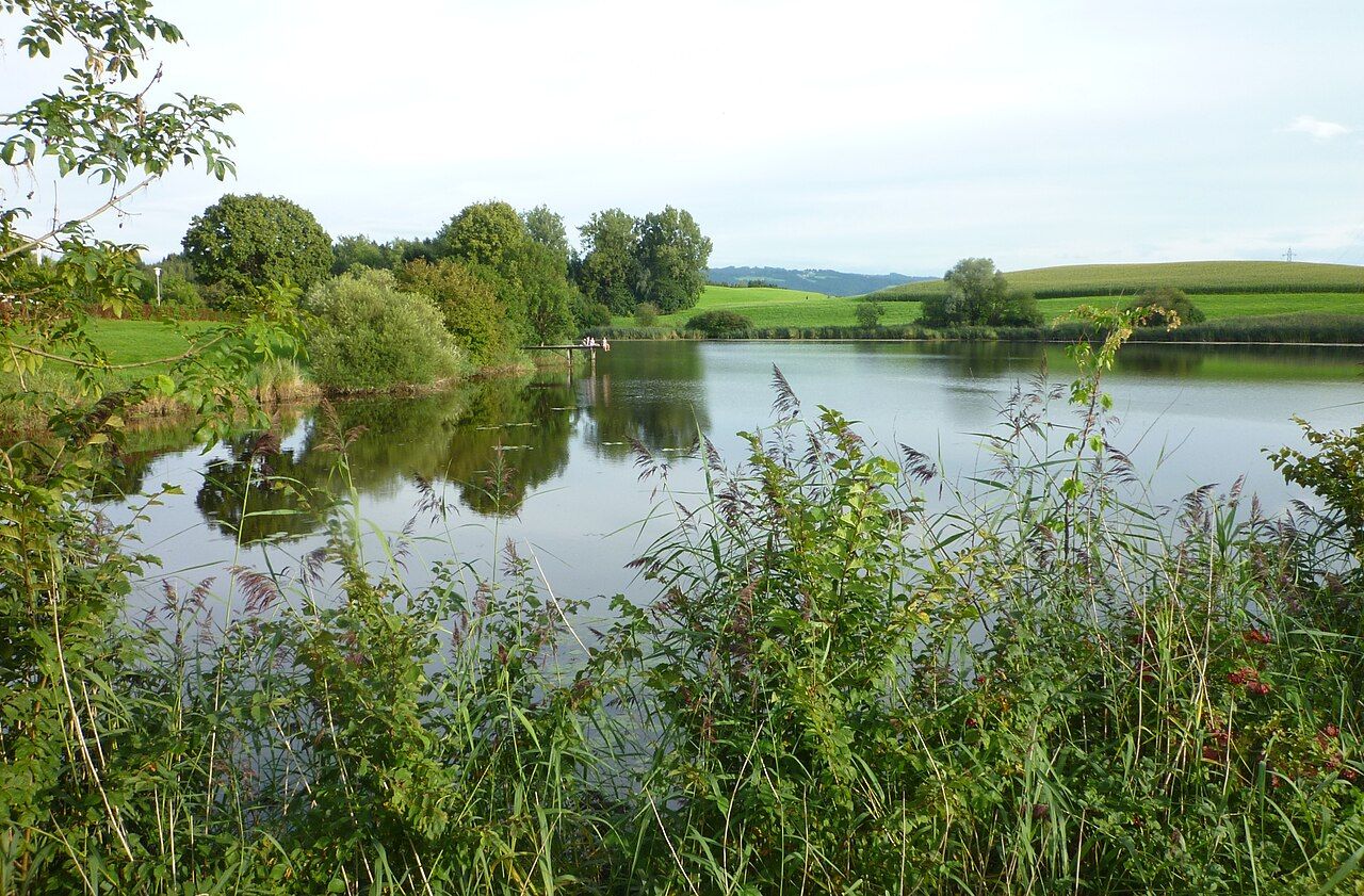 Neuravensburger Weiher