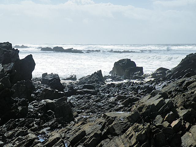 Reef GB-EXT