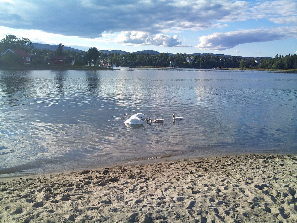 Plage NO-S
