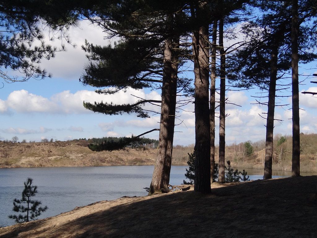 Plage NL