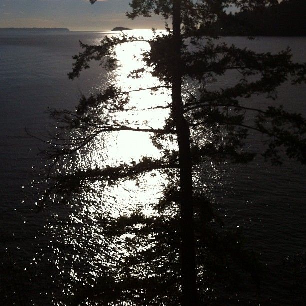 Eagle Cliff Neighbourhood Beach