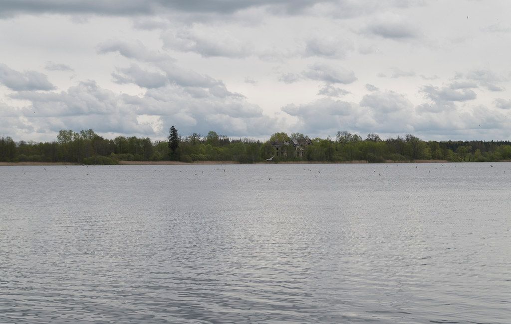 Klooga järve ujumiskoht