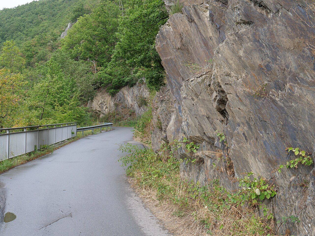 Schilsbachtal mit Nebenbächen und Hangwäldern am Rursee