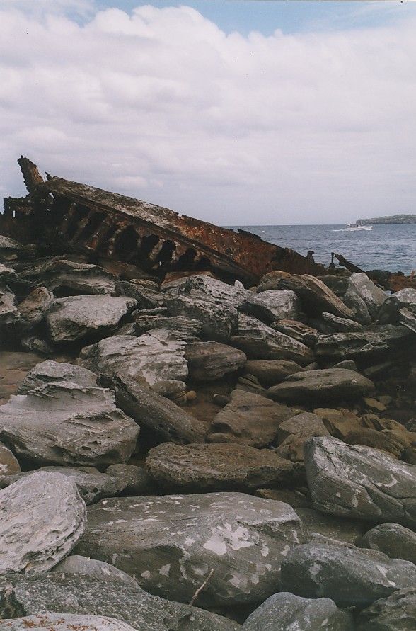 SS Minmi