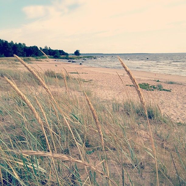 Kolga-Aabla ujumiskoht