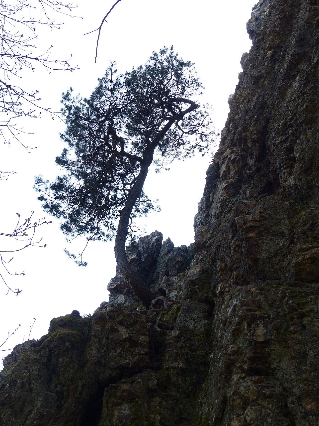 An der Teufelsley