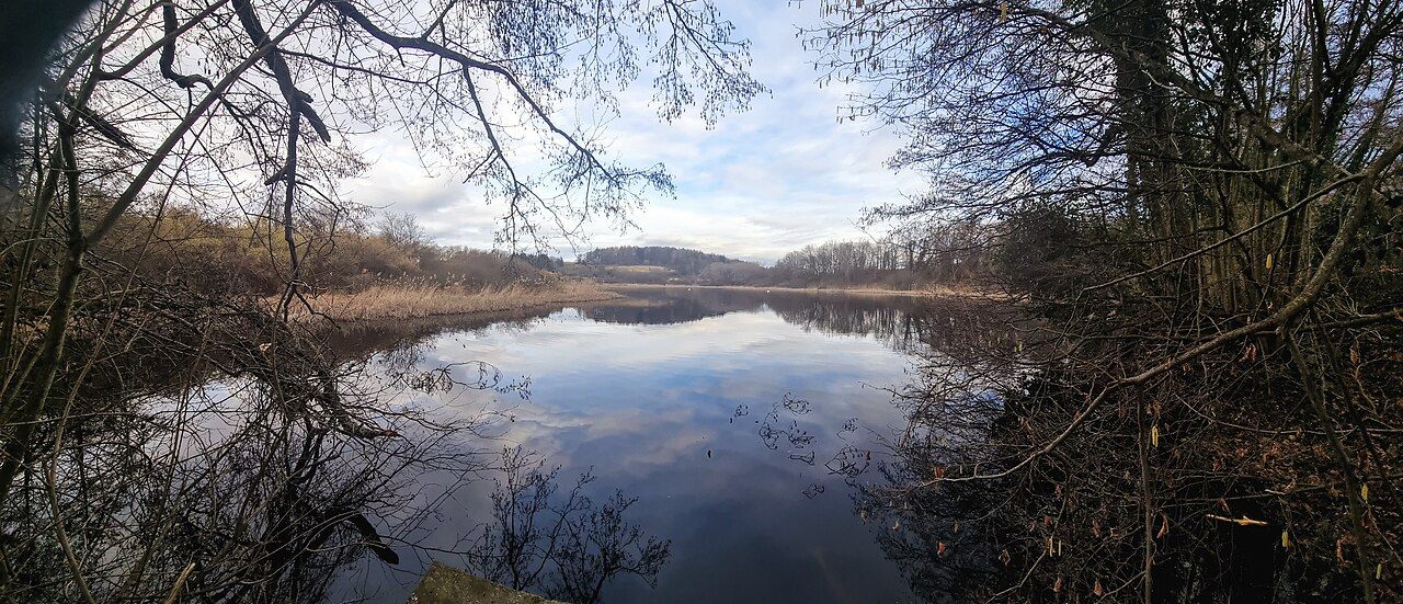 Hagstaffelweiher