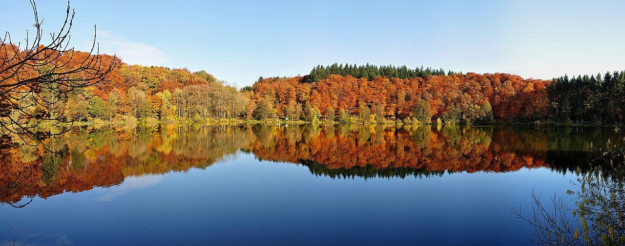 Holzmaar