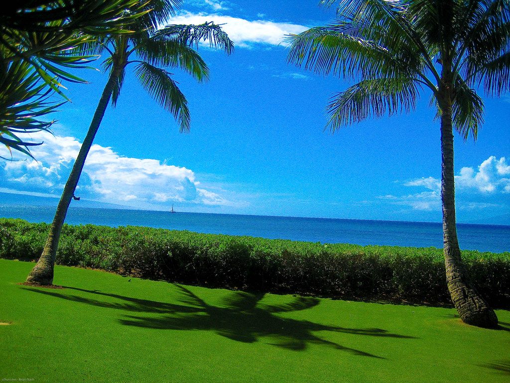 Sands of Kahana Resort
