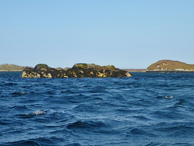 Reef GB-EXT