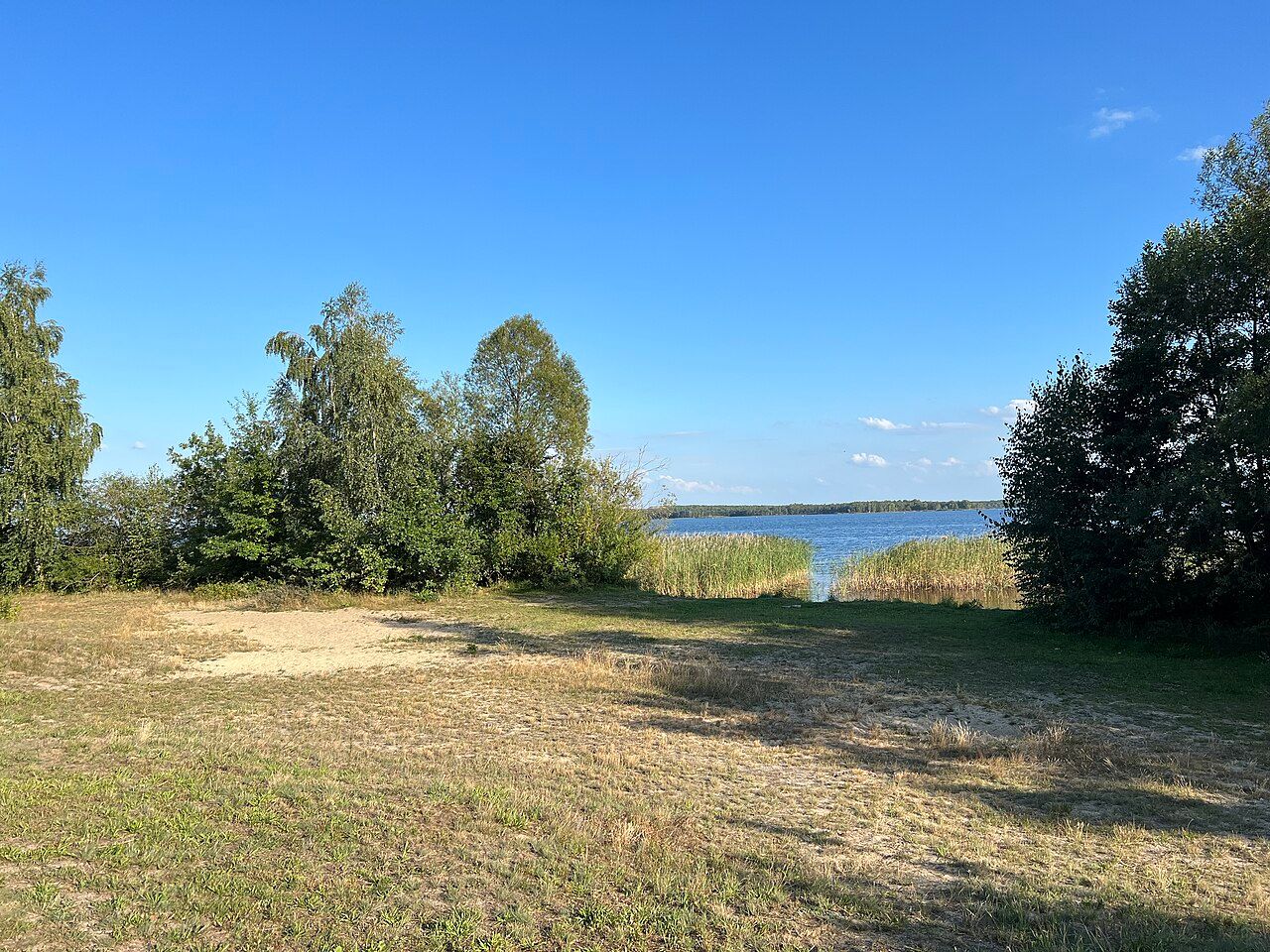 Plage DE-C