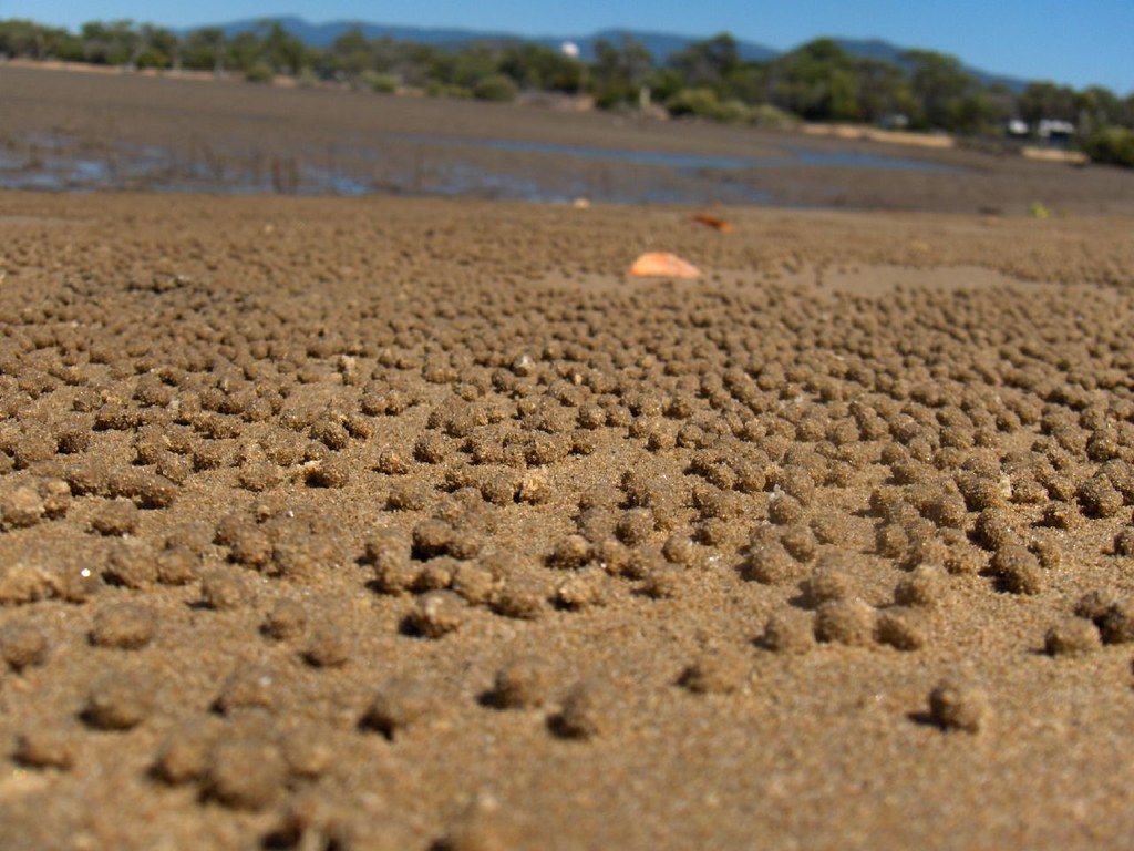 Little Mud Creek Beach