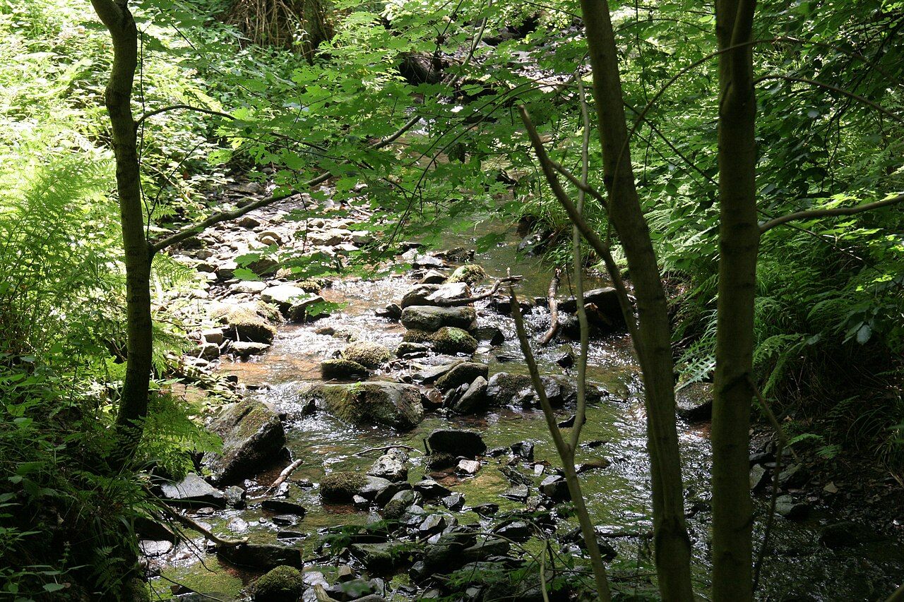 Morgenbachtal