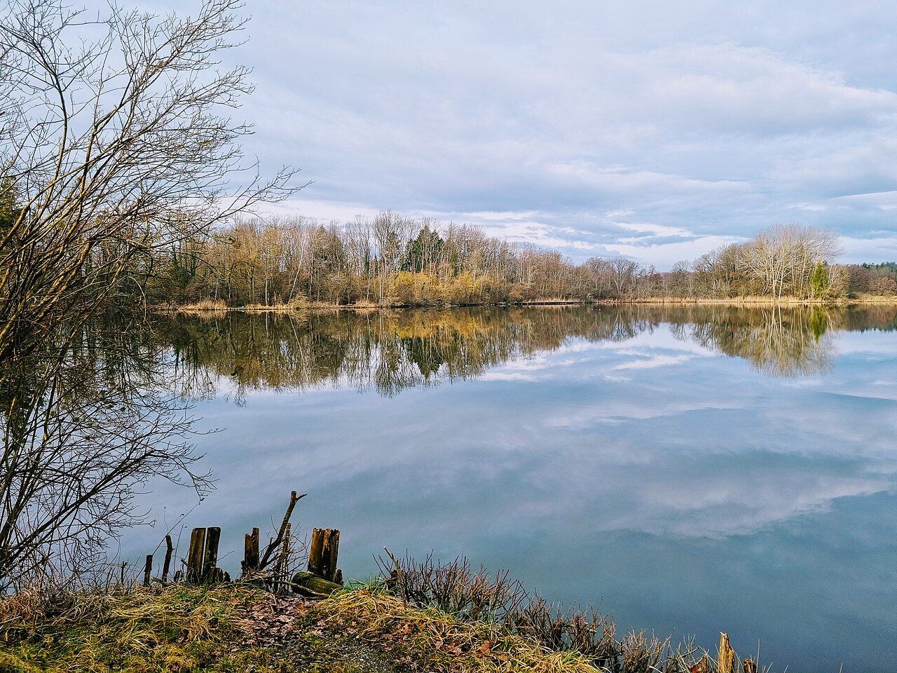 Ziegeleiweiher Rickelshausen