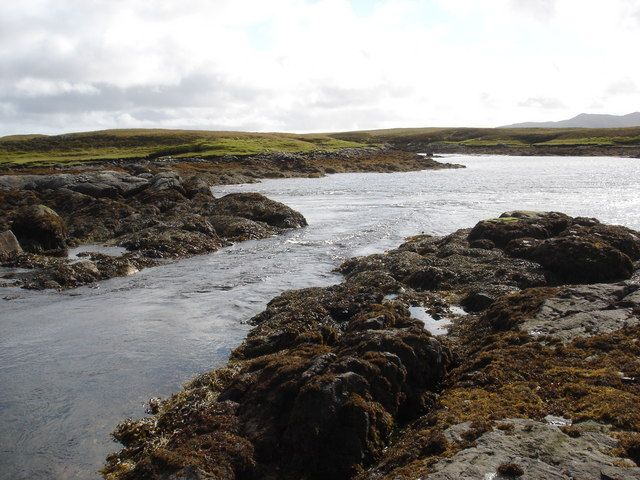 Reef GB-EXT