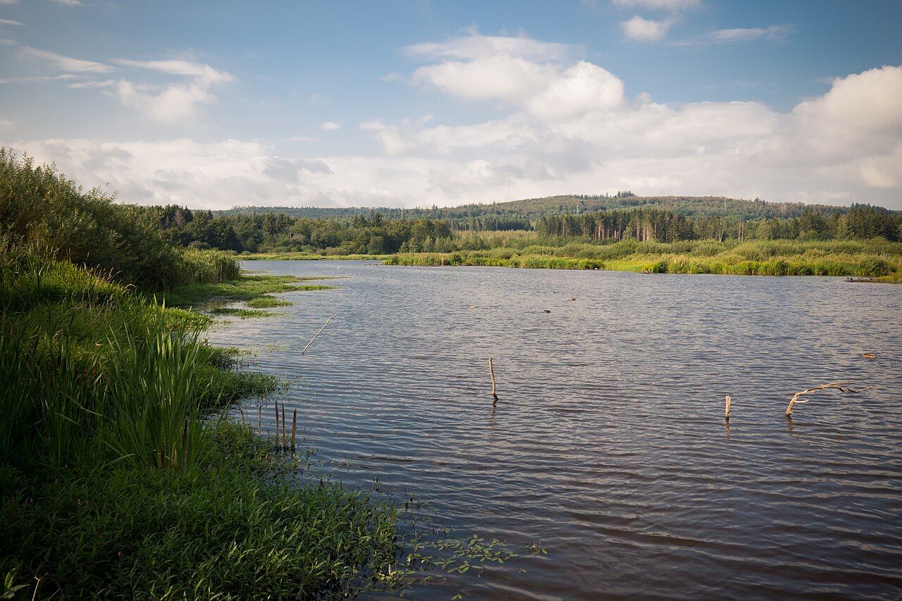 Jungferweiher