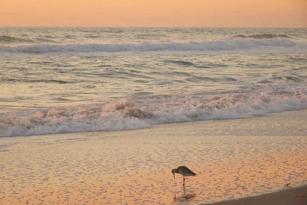 Plage US-FL