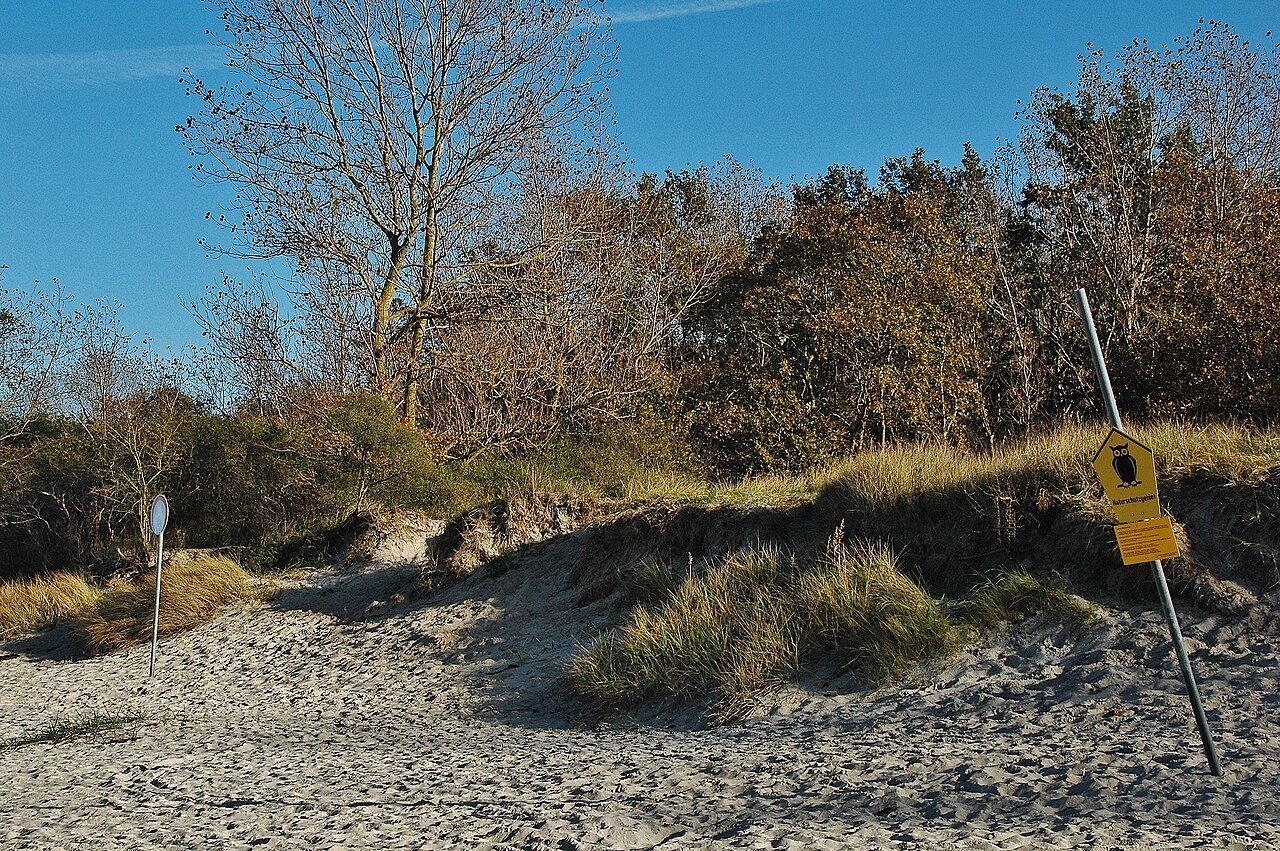Küstenlandschaft zwischen Priwall und Barendorf mit Harkenbäkniederung