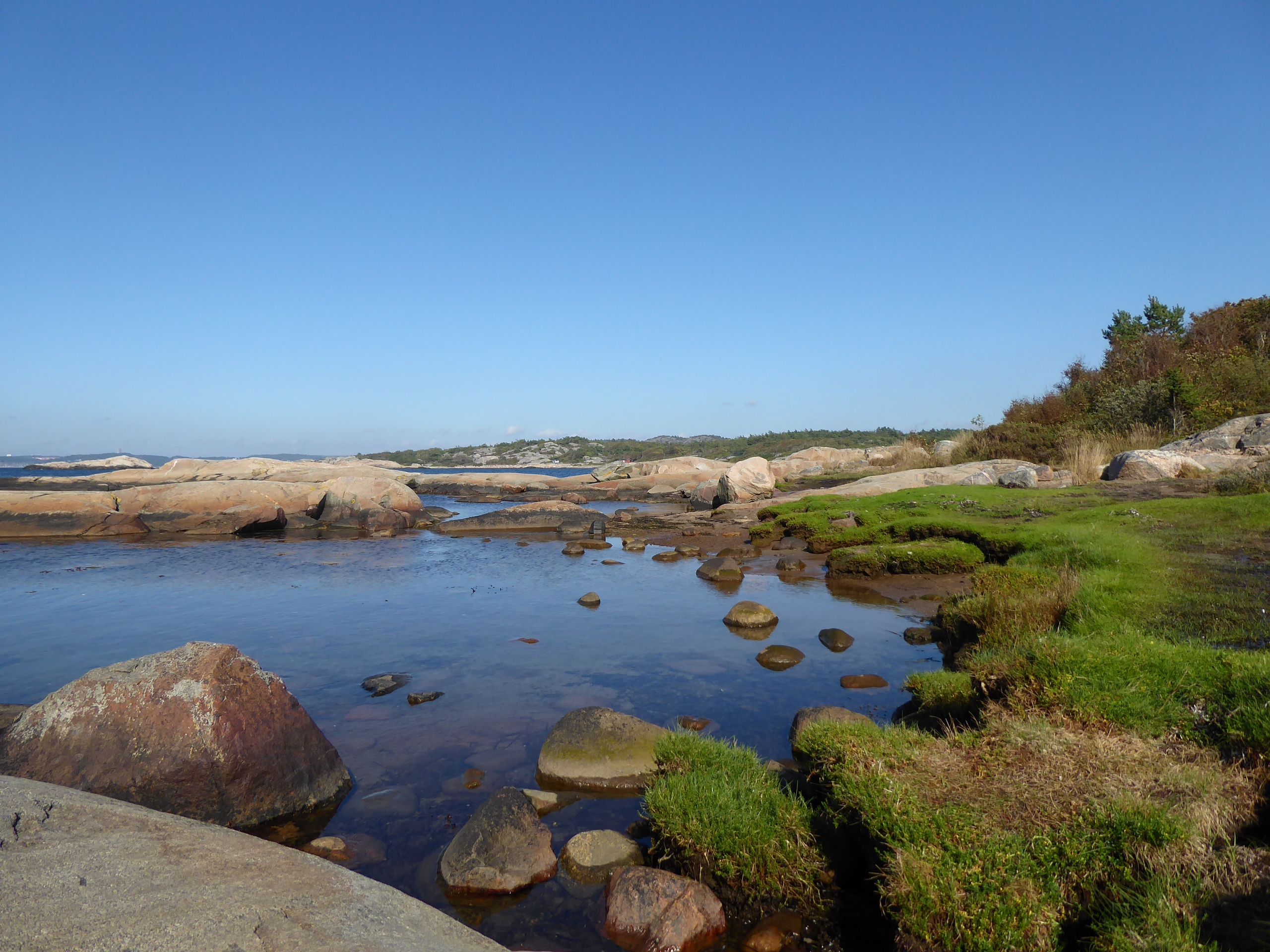 Grassy Beach