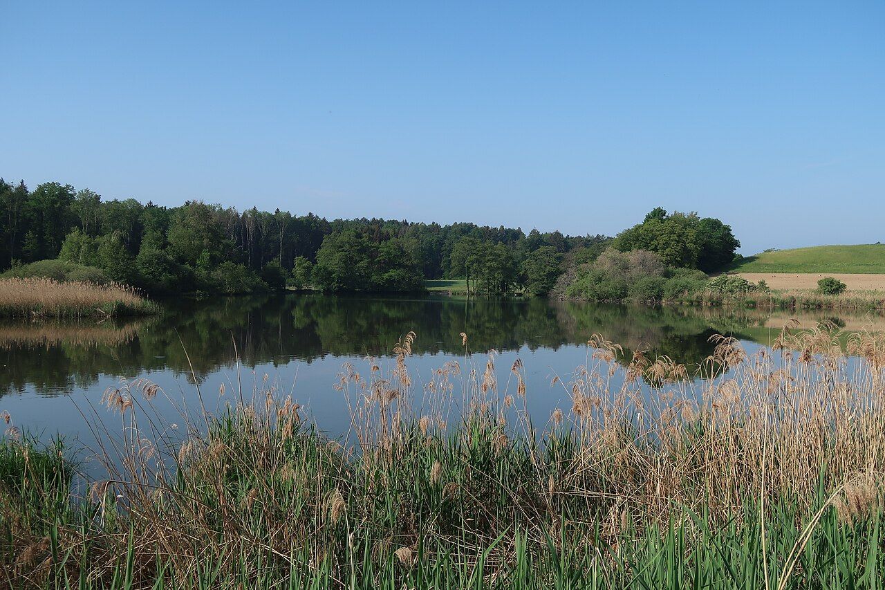 Mühlhaldenweiher