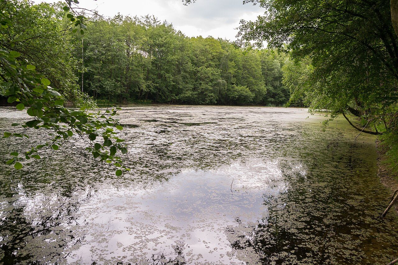 Teich bei Wöbbel