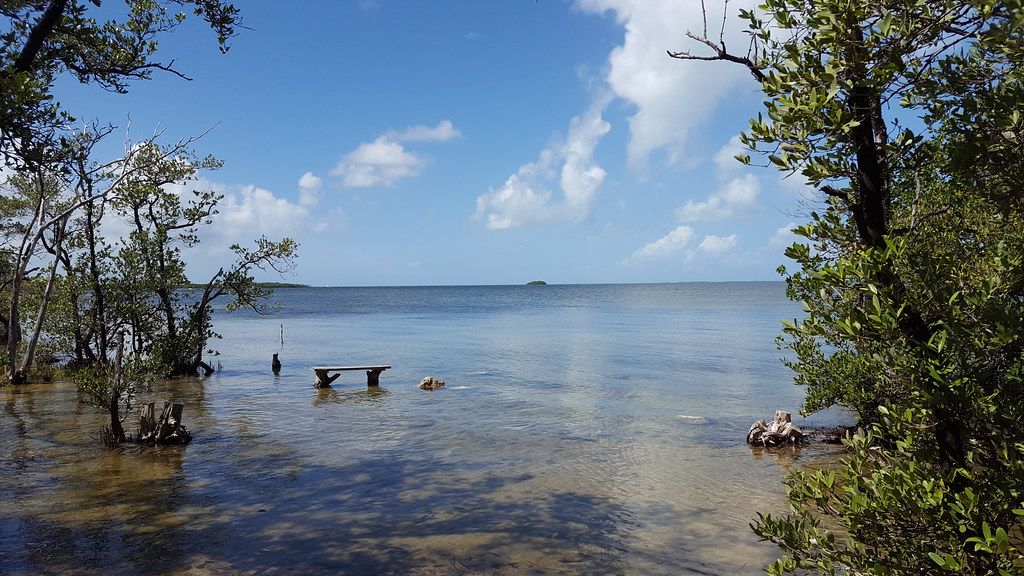Ocean View at the Laura Quinn Wild Bird Sanctuary