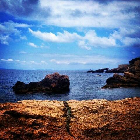 Plage ES-BAL