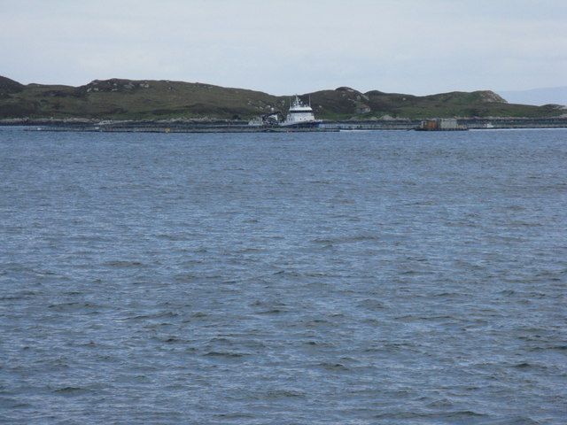 Reef GB-EXT