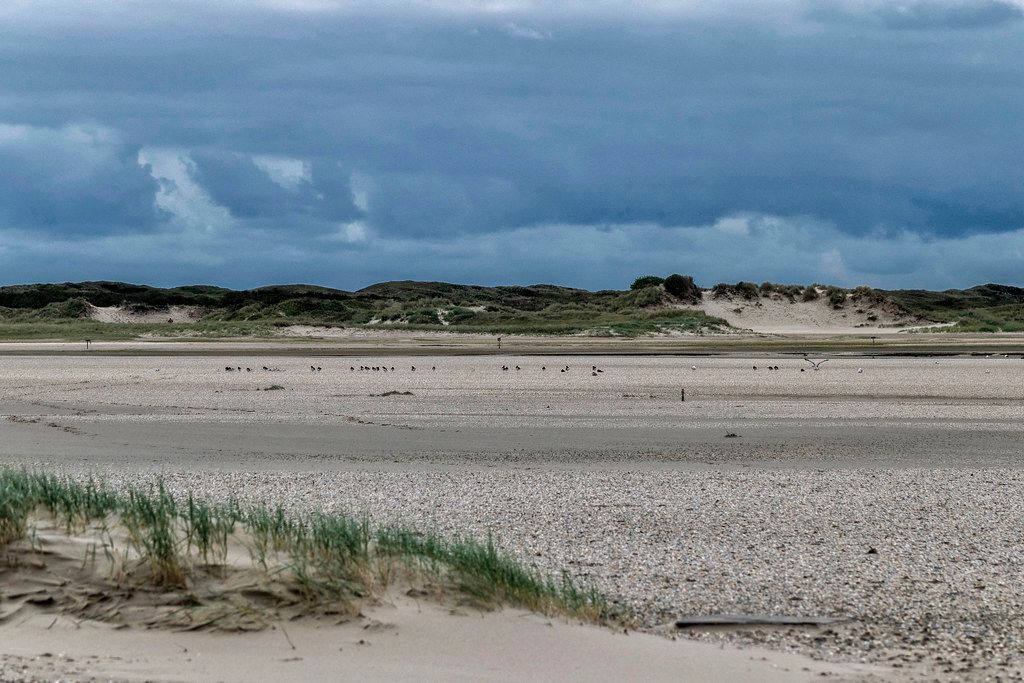 Plage NL