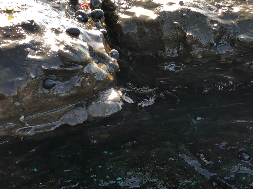 Surf spot