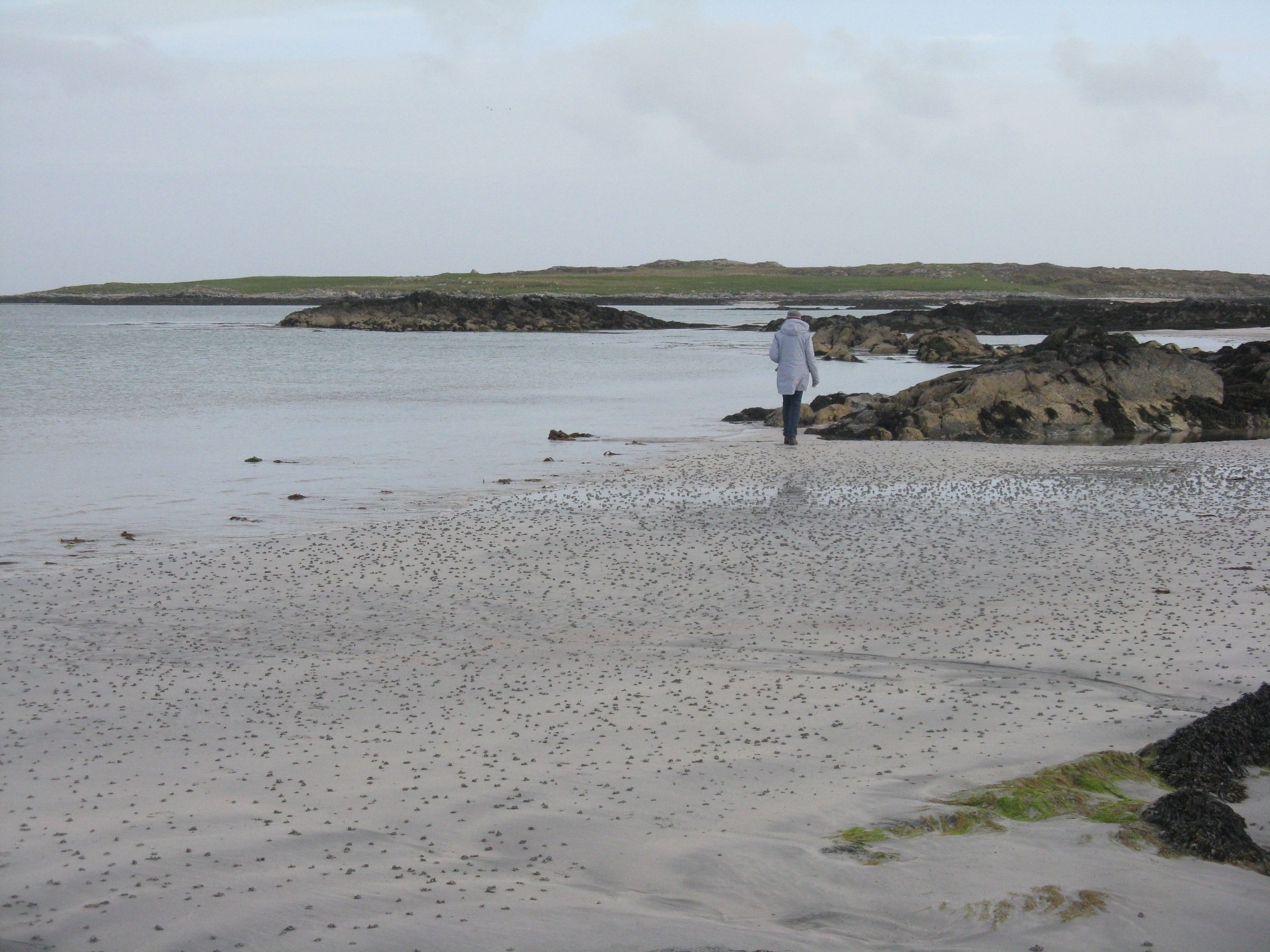 Tràigh Crionaig