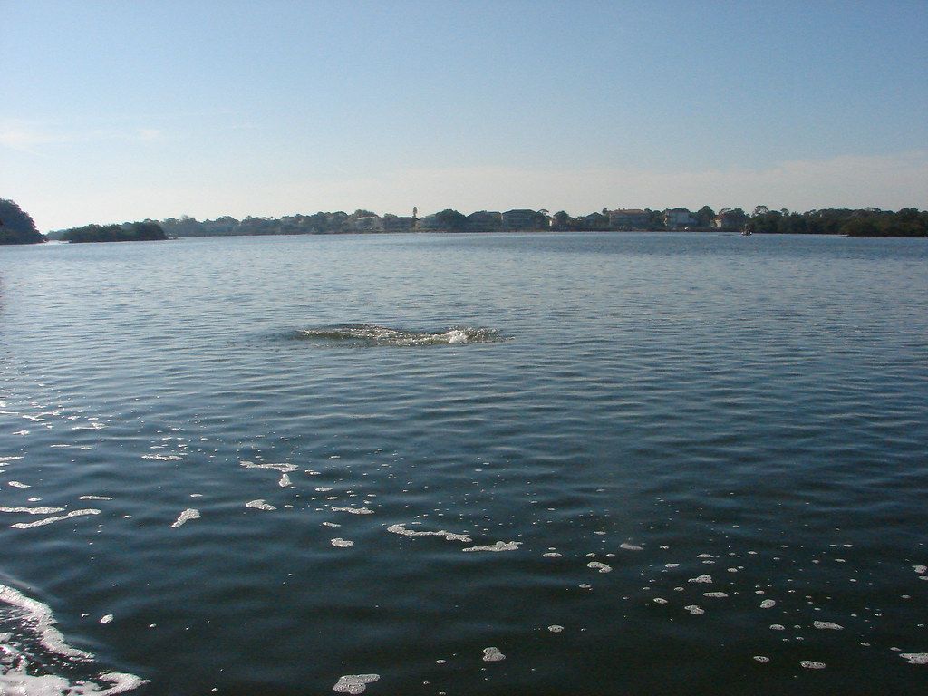 Baignade US-FL