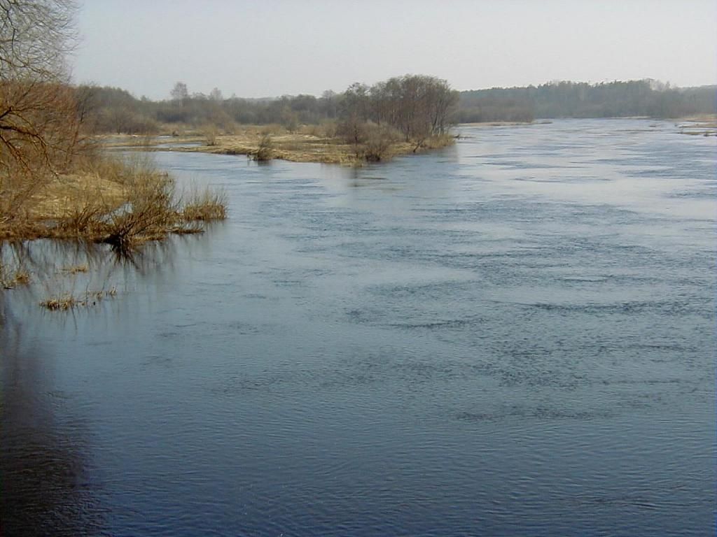 dabas parks „Aiviekstes paliene”