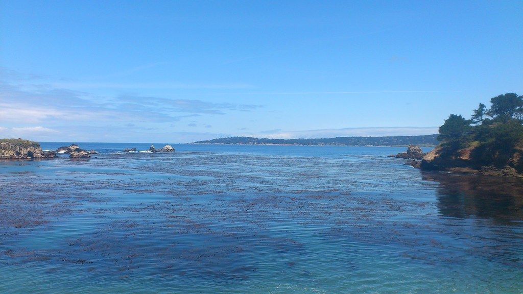 Plage US-W
