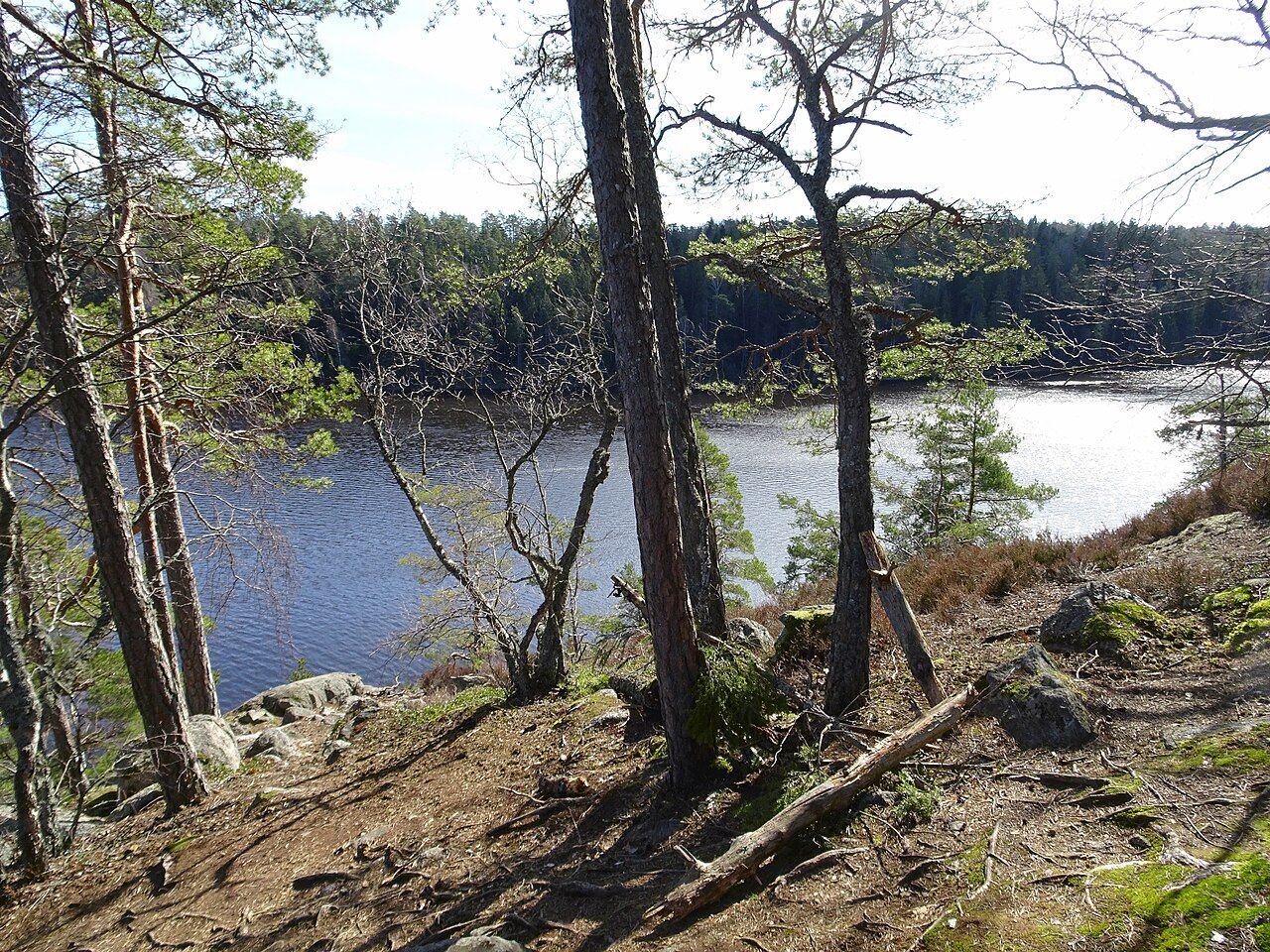 Norrga naturreservat