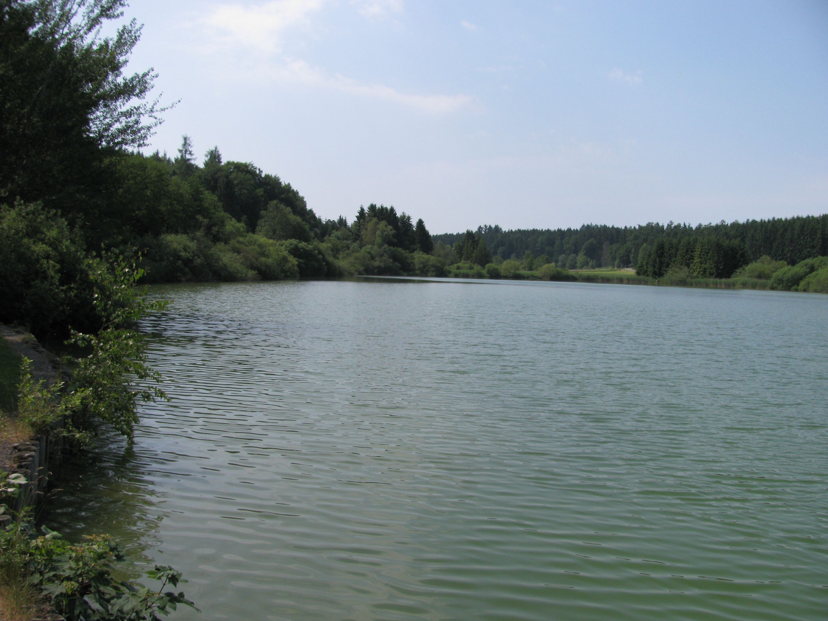 Wagenhauser Weiher