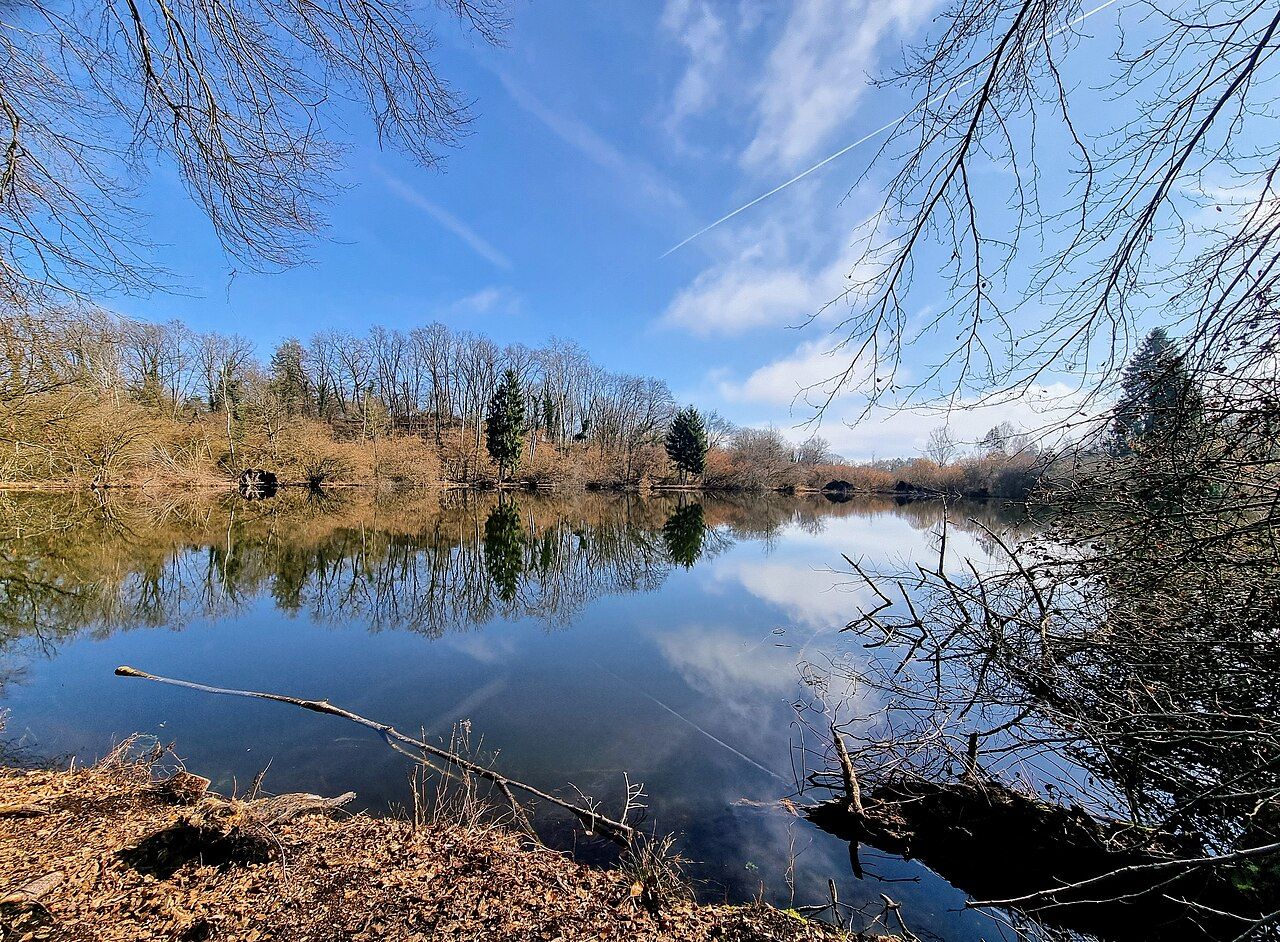 Buchenseen (Güttinger Seen)