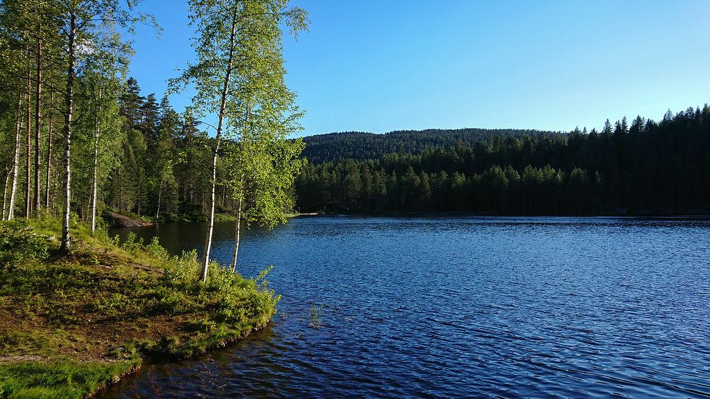 Rundetjern