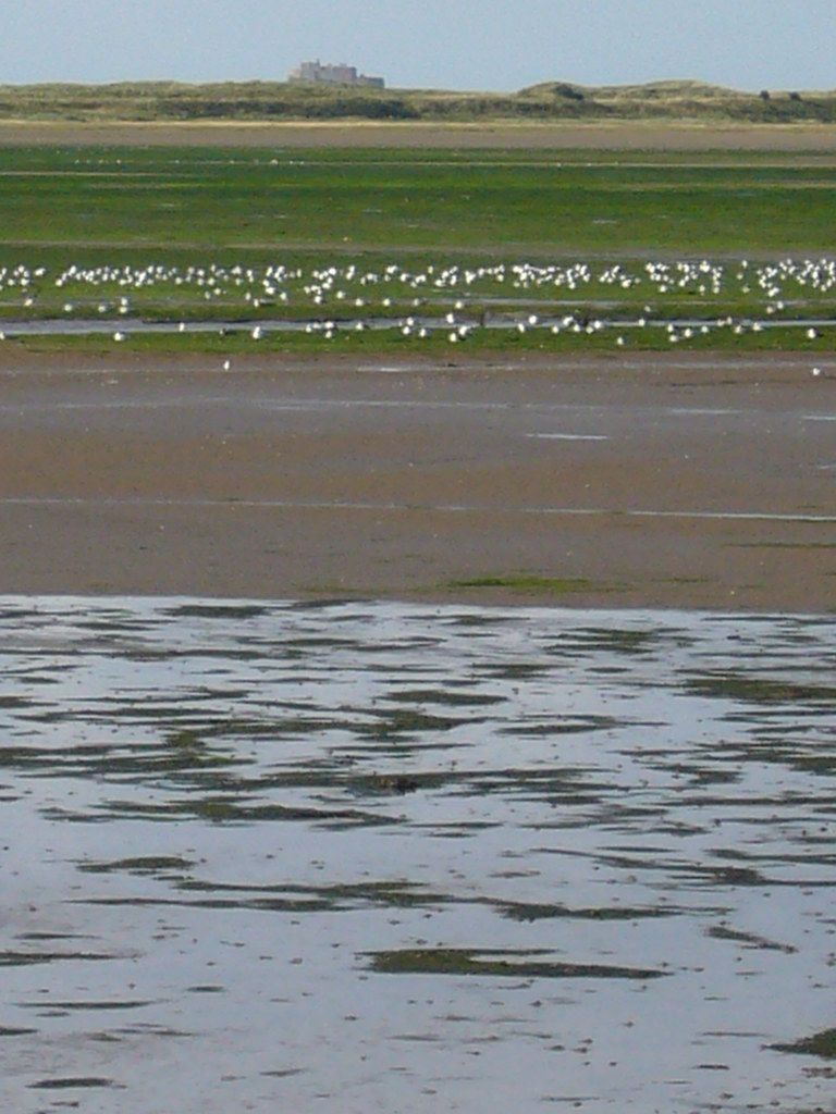 Plage GB-EXT