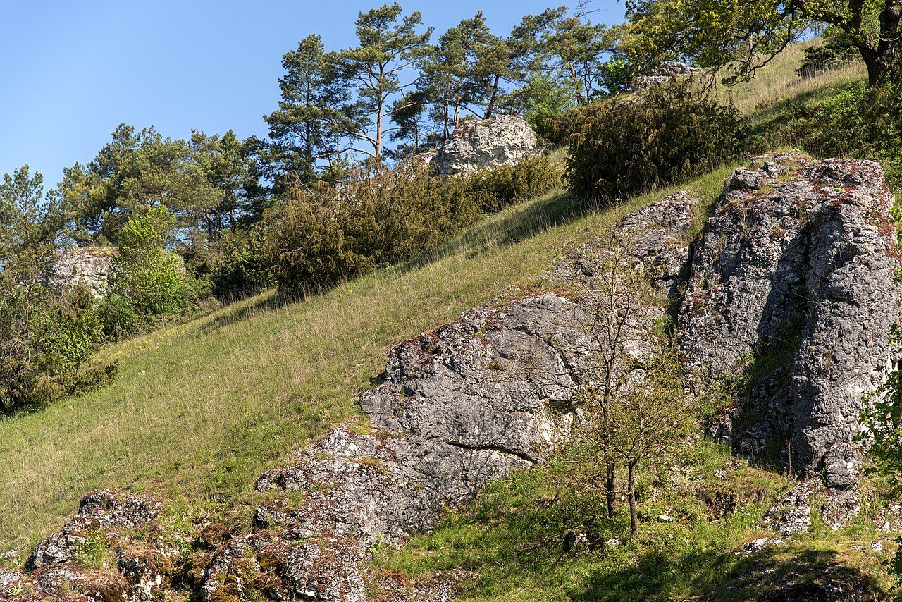 Laushalde