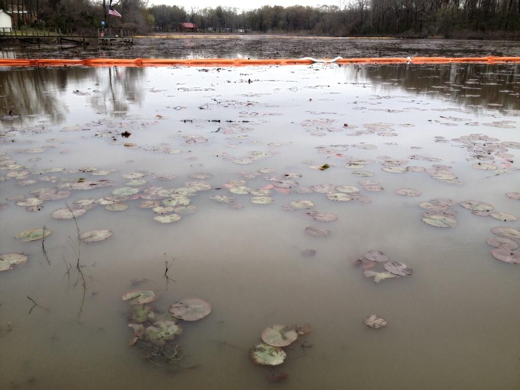 Lake Conway Beach