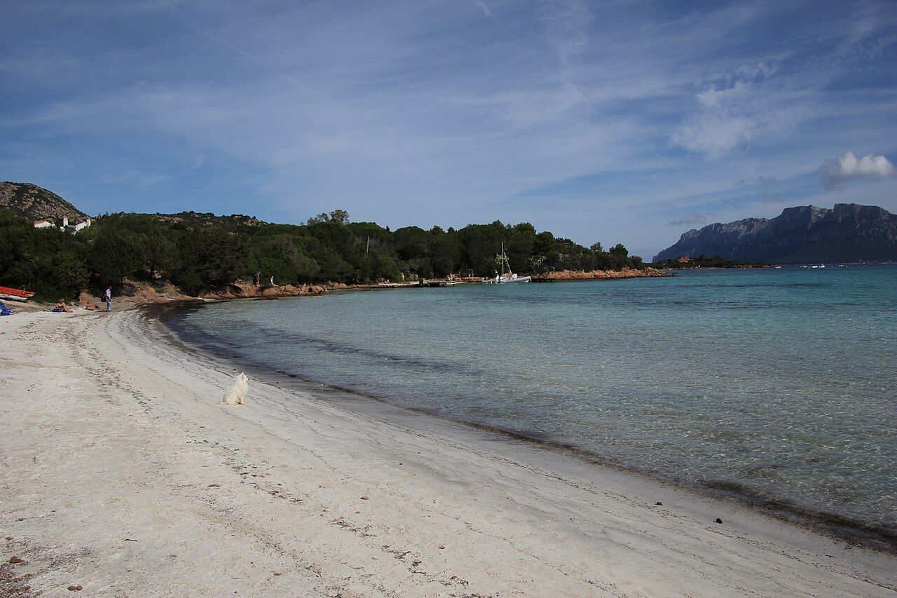 Beach club