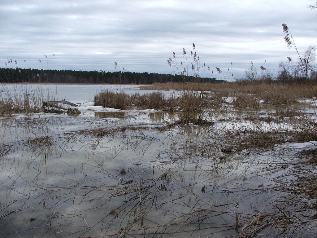 Baignade RU-W