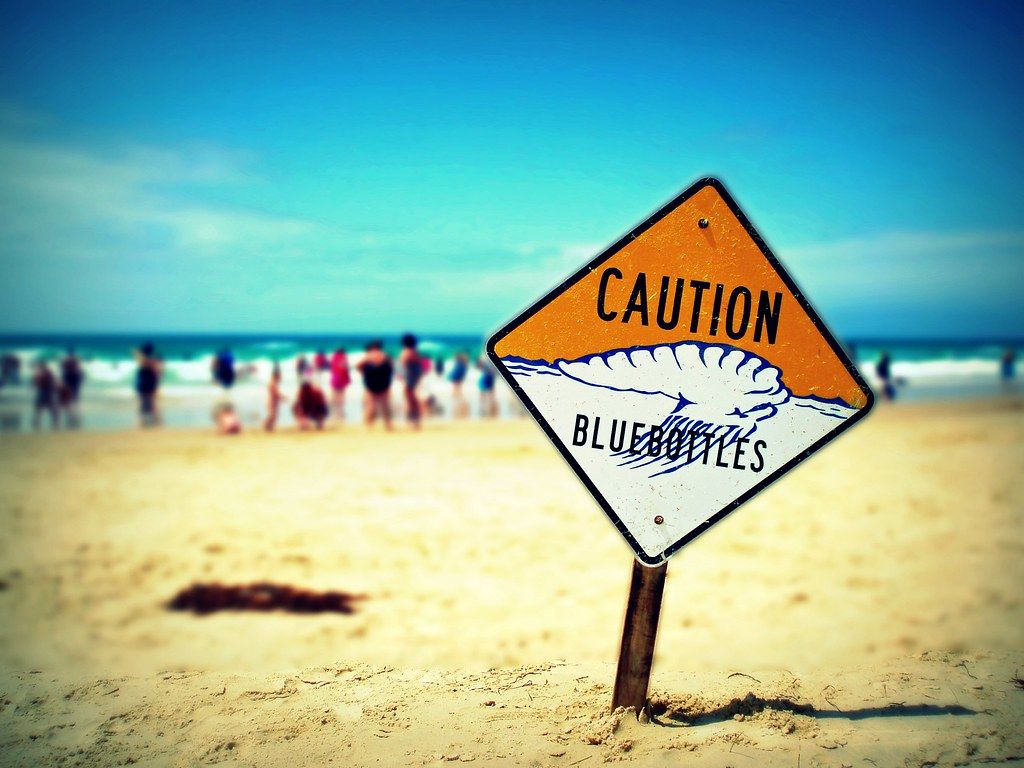 Plage AU-E